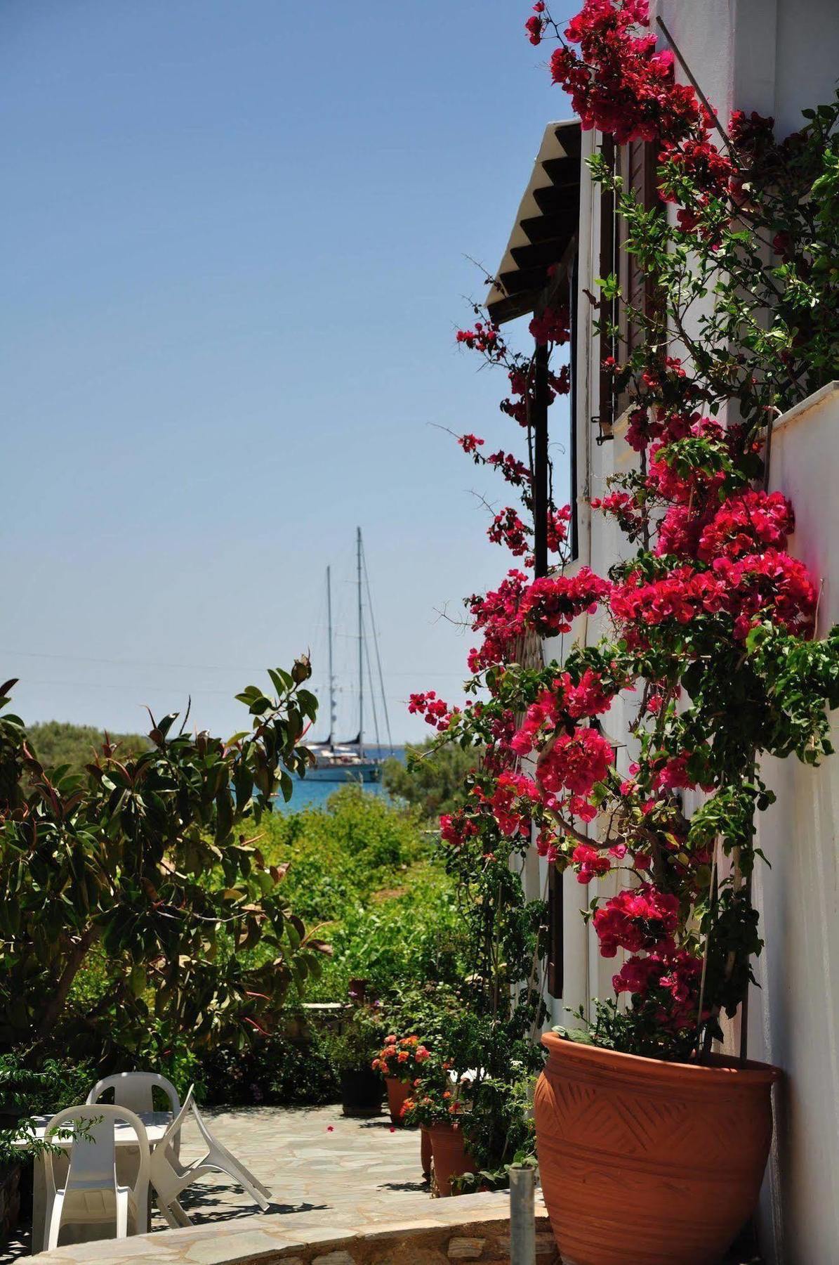 Michalis Apartments Near The Beaches With Sea View Páros Eksteriør bilde
